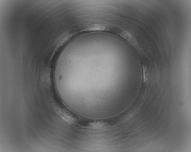 X0000067350300200603311159