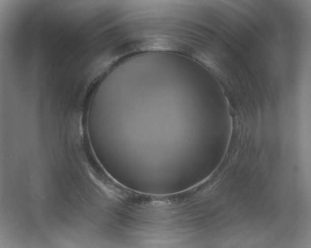 X0000067350302200603311159