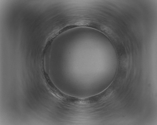X0000067350303200603311159