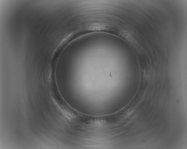 X0000067350304200603311159