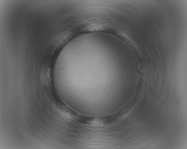X0000067350308200603311159