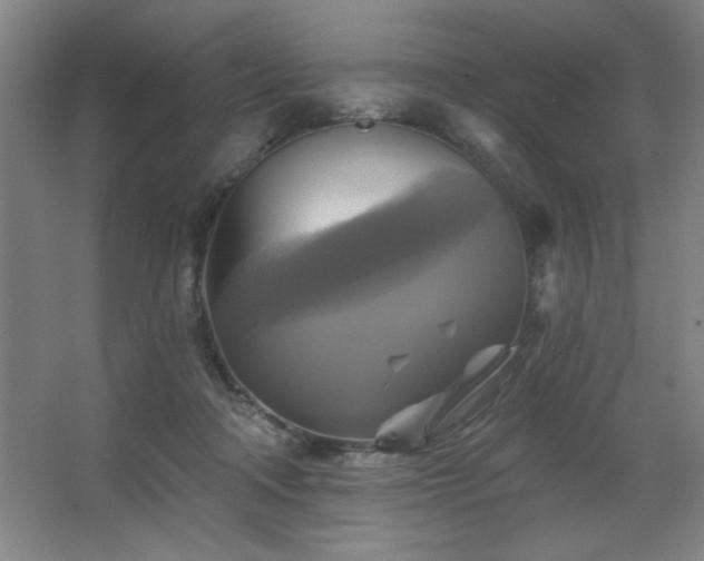X0000067350314200603311159