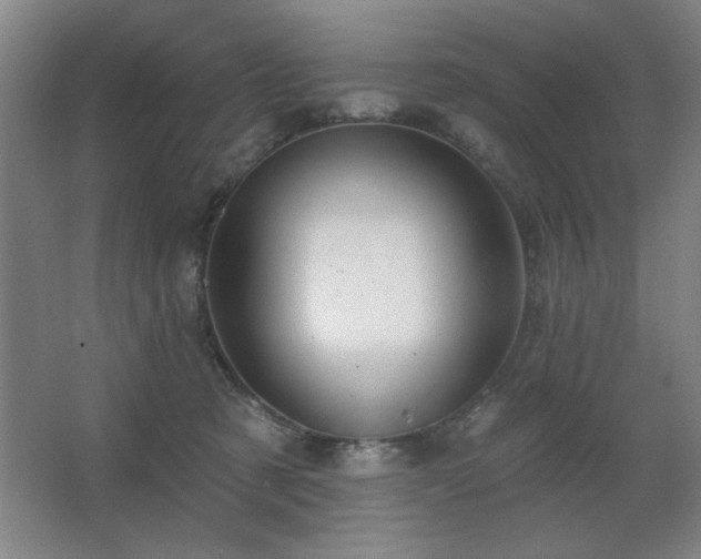 X0000067350321200603311159