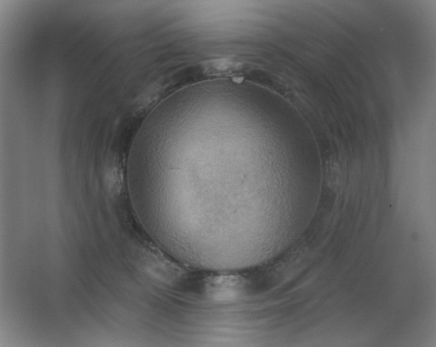 X0000067350324200603311159
