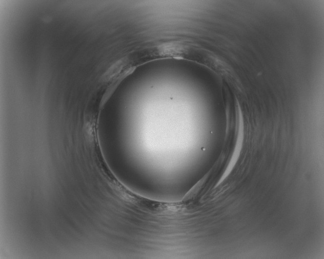 X0000067350329200603311159