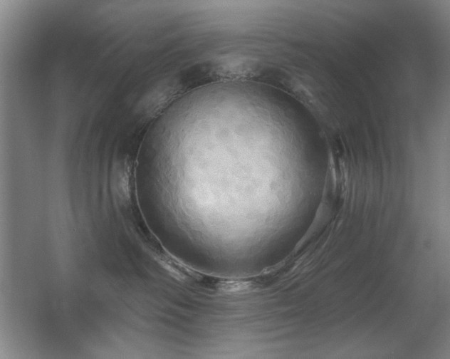 X0000067350334200603311159