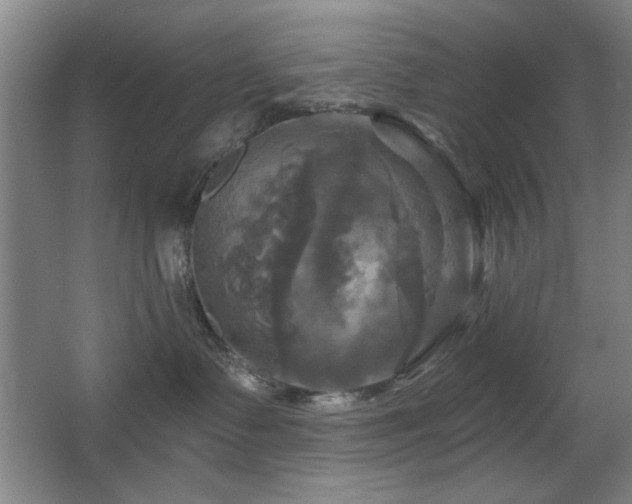 X0000067350335200603311159