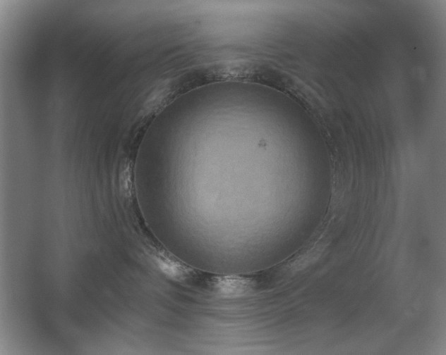 X0000067350336200603311158