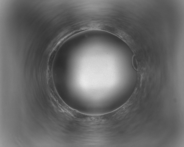 X0000067350338200603311158