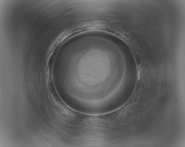 X0000067350339200603311158