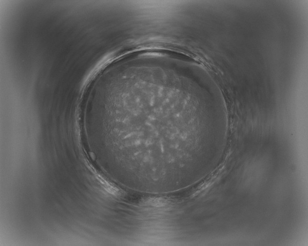 X0000067350341200603311158