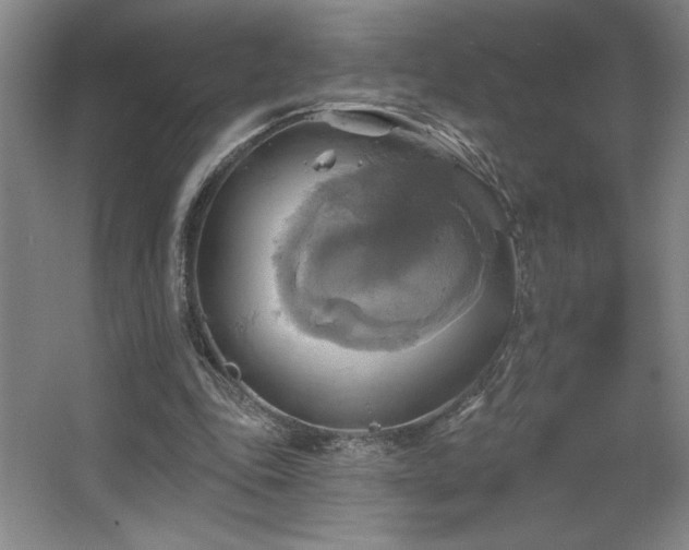 X0000067350343200603311158