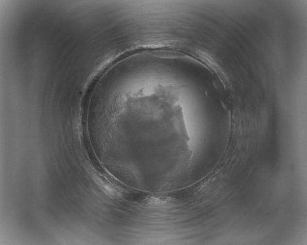 X0000067350346200603311158