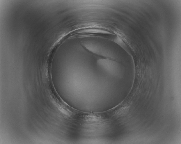 X0000067350347200603311158