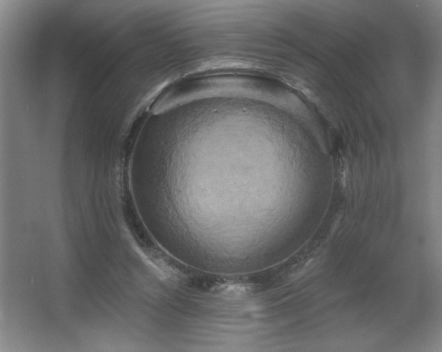 X0000067350352200603311158