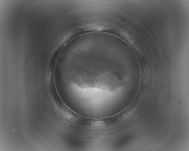 X0000067350355200603311158