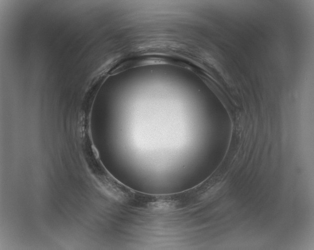 X0000067350356200603311158