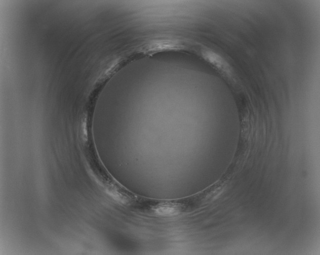 X0000067350358200603311158