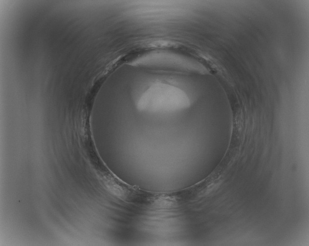 X0000067350359200603311158
