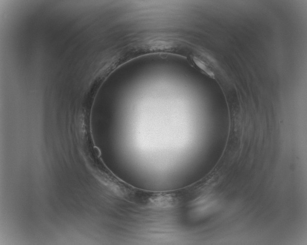X0000067350362200603311158