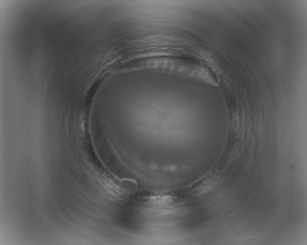 X0000067350363200603311158