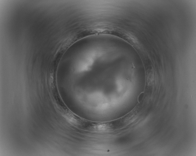 X0000067350365200603311158