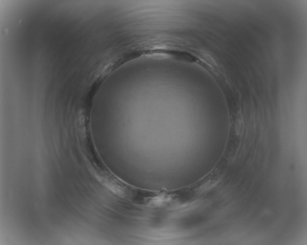 X0000067350366200603311158