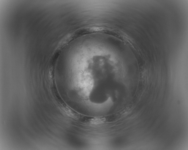 X0000067350373200603311158