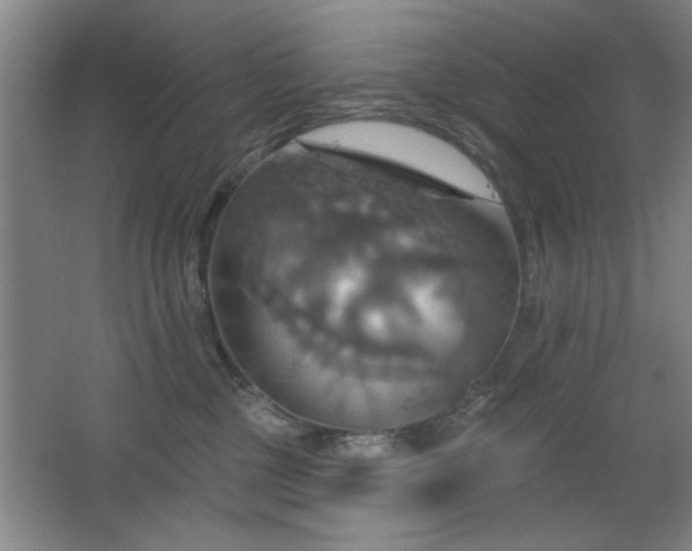 X0000067350377200603311158