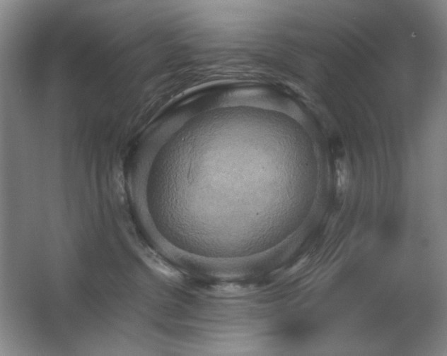 X0000067350380200603311158