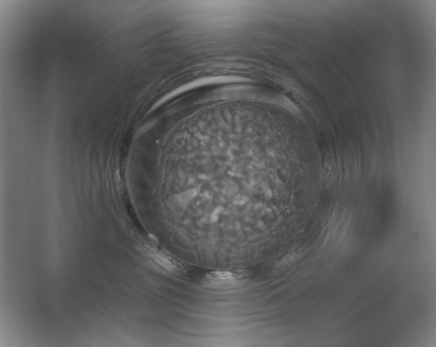 X0000067350381200603311158