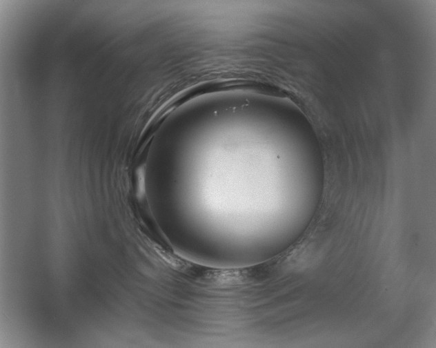 X0000067350384200603311158