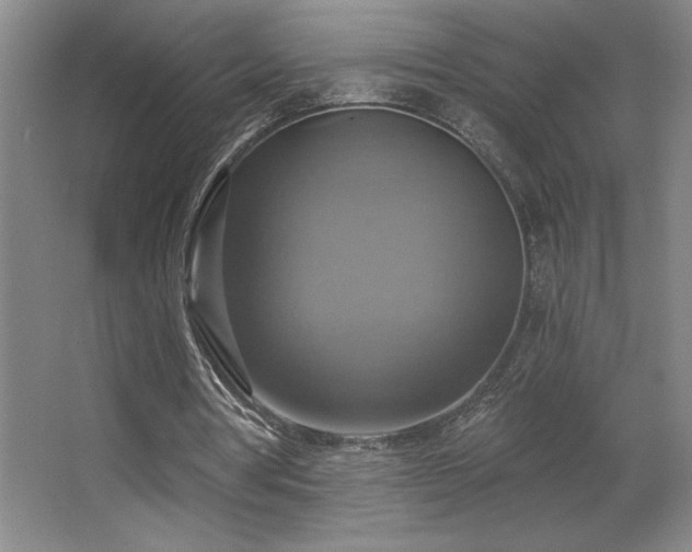 X0000067350386200603311158