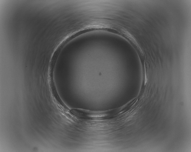 X0000067350387200603311158