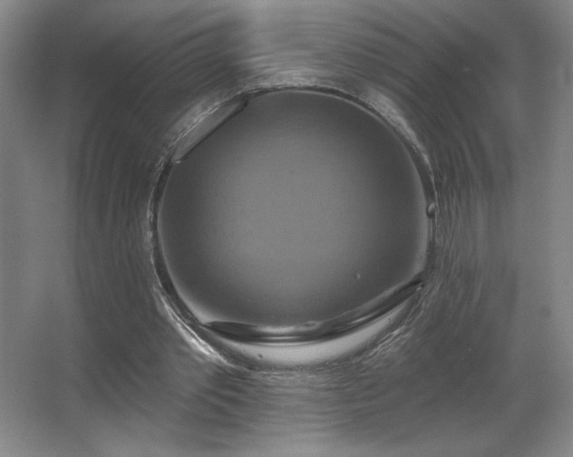 X0000067350389200603311158