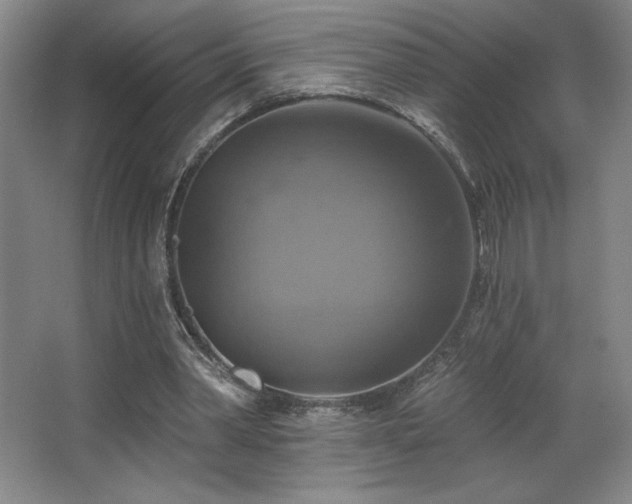 X0000067350390200603311158