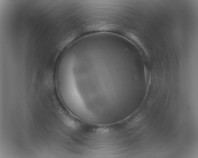 X0000067350394200603311158