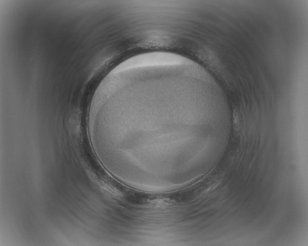 X0000067350396200603311157