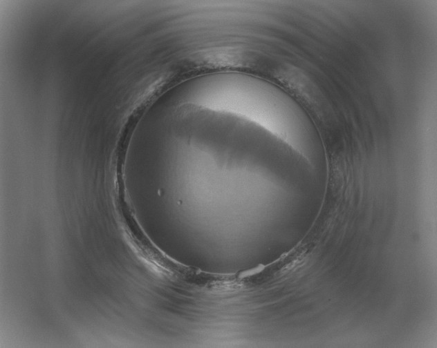 X0000067350398200603311157
