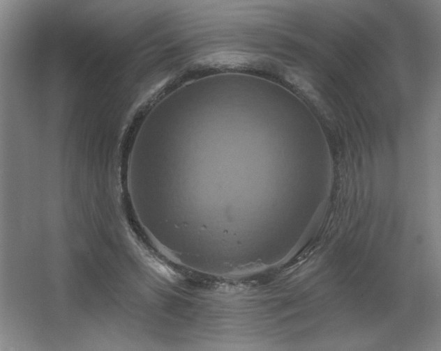 X0000067350399200603311157
