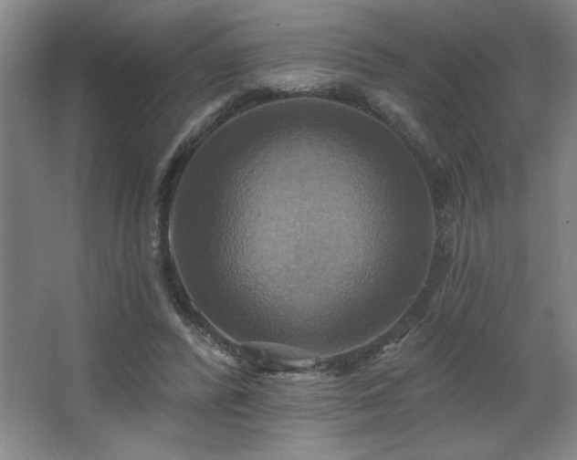 X0000067350400200603311157