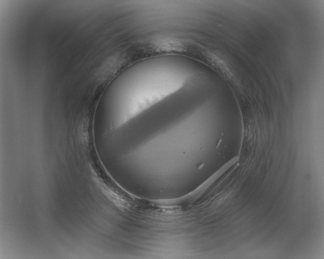 X0000067350402200603311157