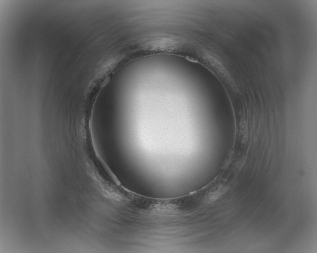 X0000067350403200603311157