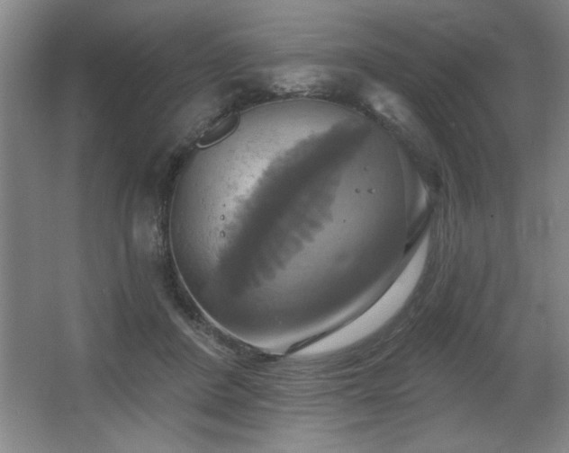 X0000067350408200603311157