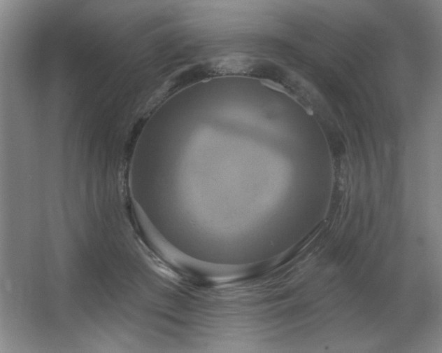 X0000067350409200603311157