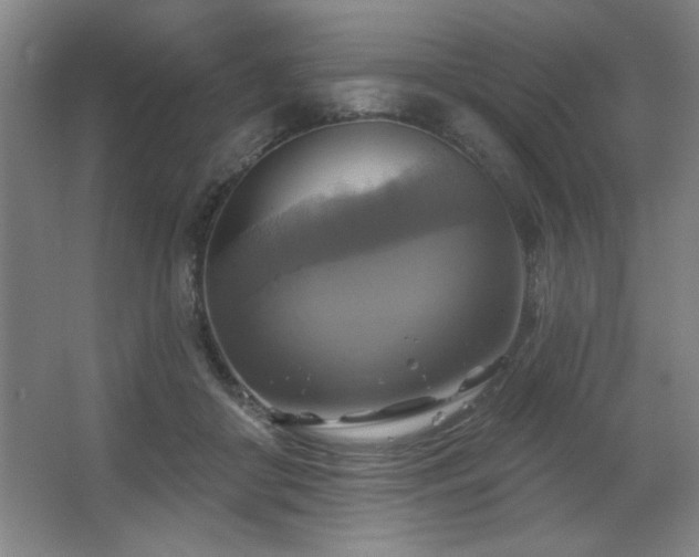 X0000067350410200603311157