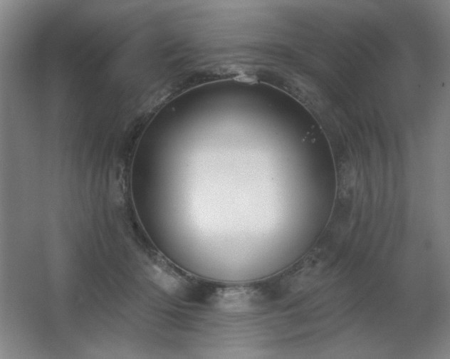 X0000067350414200603311157