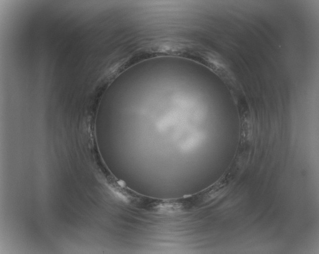 X0000067350415200603311157