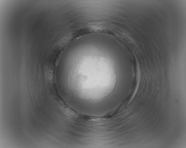 X0000067350417200603311157