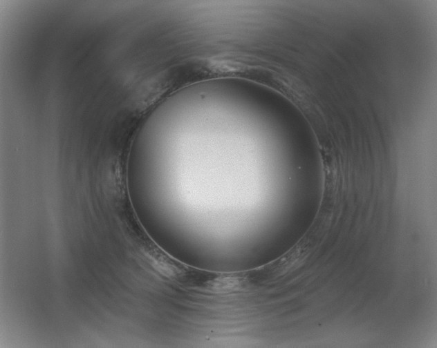 X0000067350418200603311157